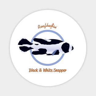 Black and White Snapper Magnet